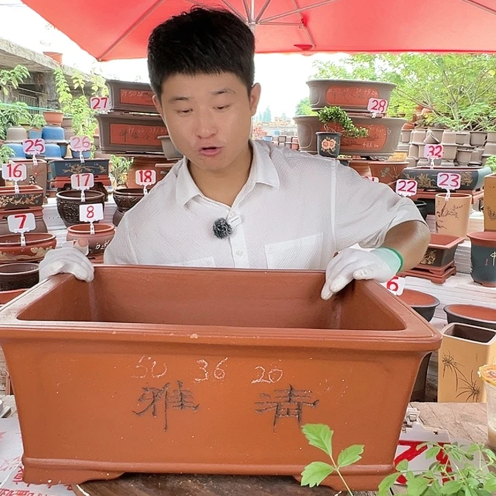 紫砂20CM（含）-50CM（不含）