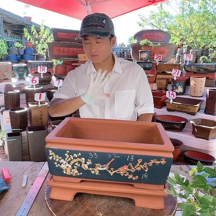 紫砂20CM（含）-50CM（不含）