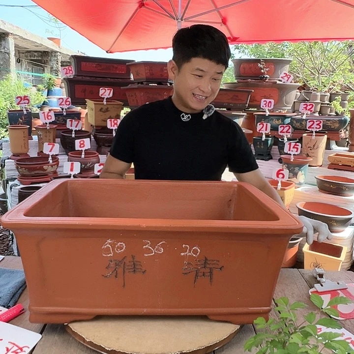 紫砂20CM（含）-50CM（不含）