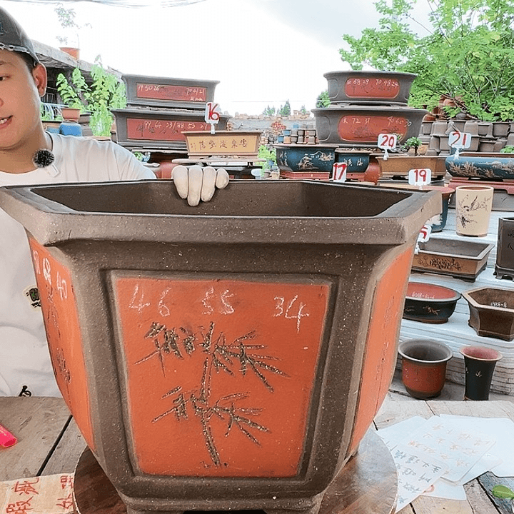 紫砂20CM（含）-50CM（不含）
