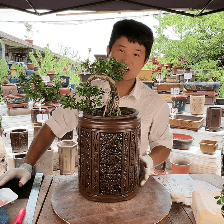 紫砂20CM（含）-50CM（不含）