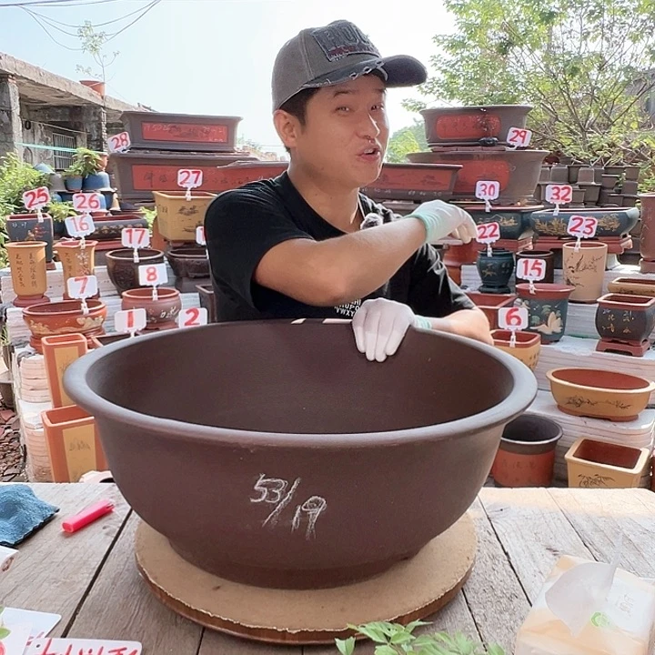 紫砂20CM（含）-50CM（不含）