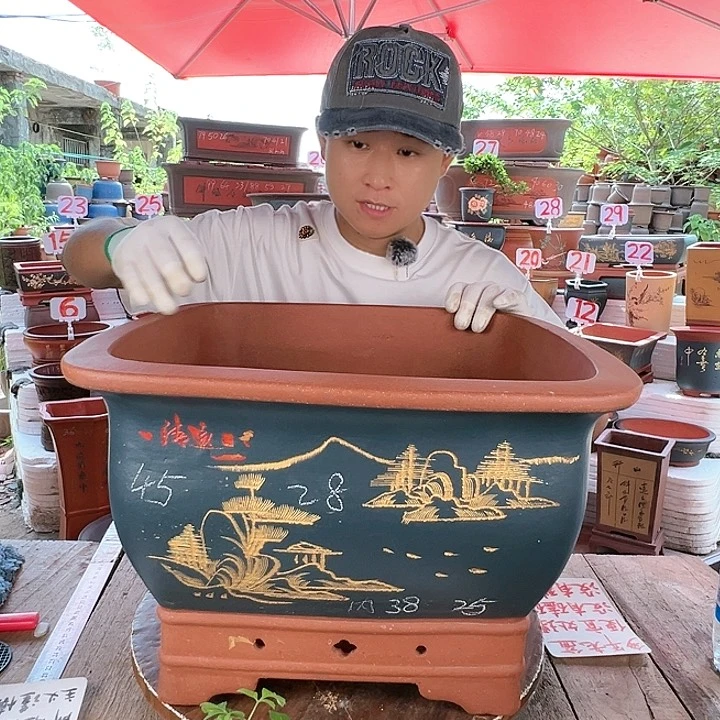 紫砂20CM(含)-50CM(不含)
