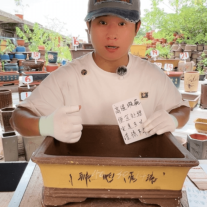 紫砂20CM（含）-50CM（不含）