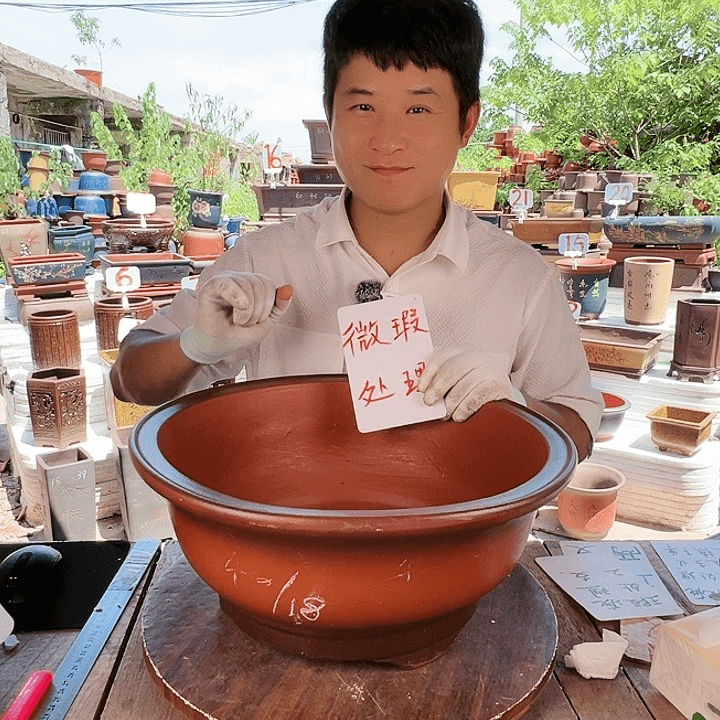 紫砂20CM（含）-50CM（不含）