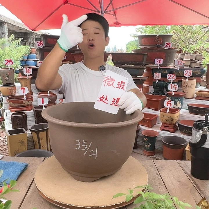 紫砂20CM（含）-50CM（不含）