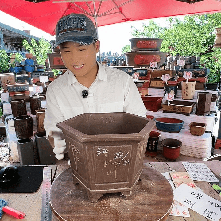 紫砂20CM（含）-50CM（不含）