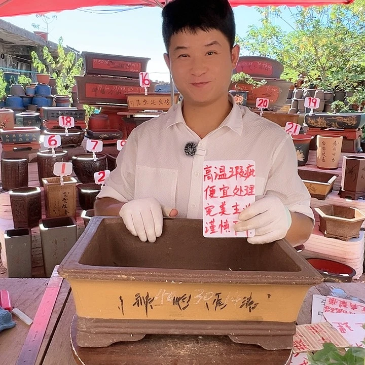 紫砂20CM（含）-50CM（不含）