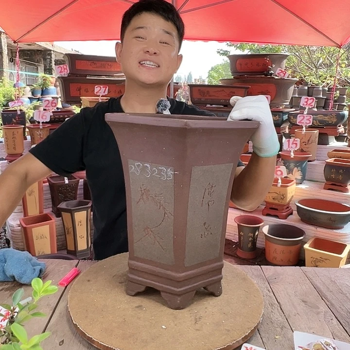 紫砂20CM（含）-50CM（不含）