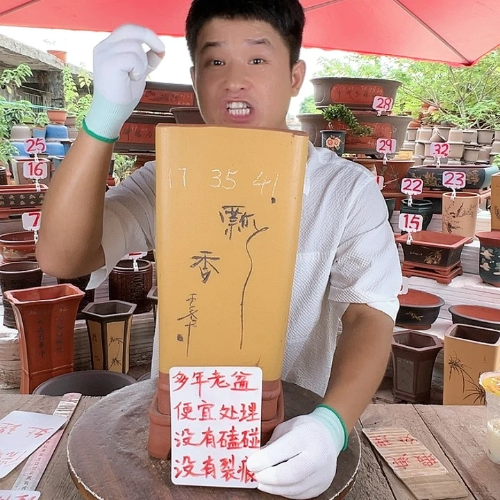 紫砂20CM（含）-50CM（不含）