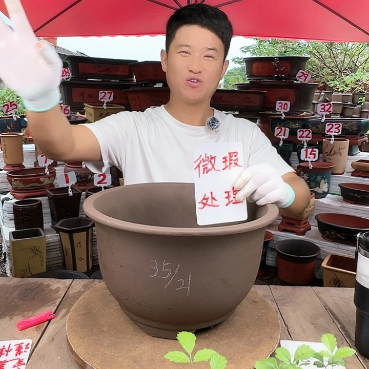 紫砂20CM（含）-50CM（不含）