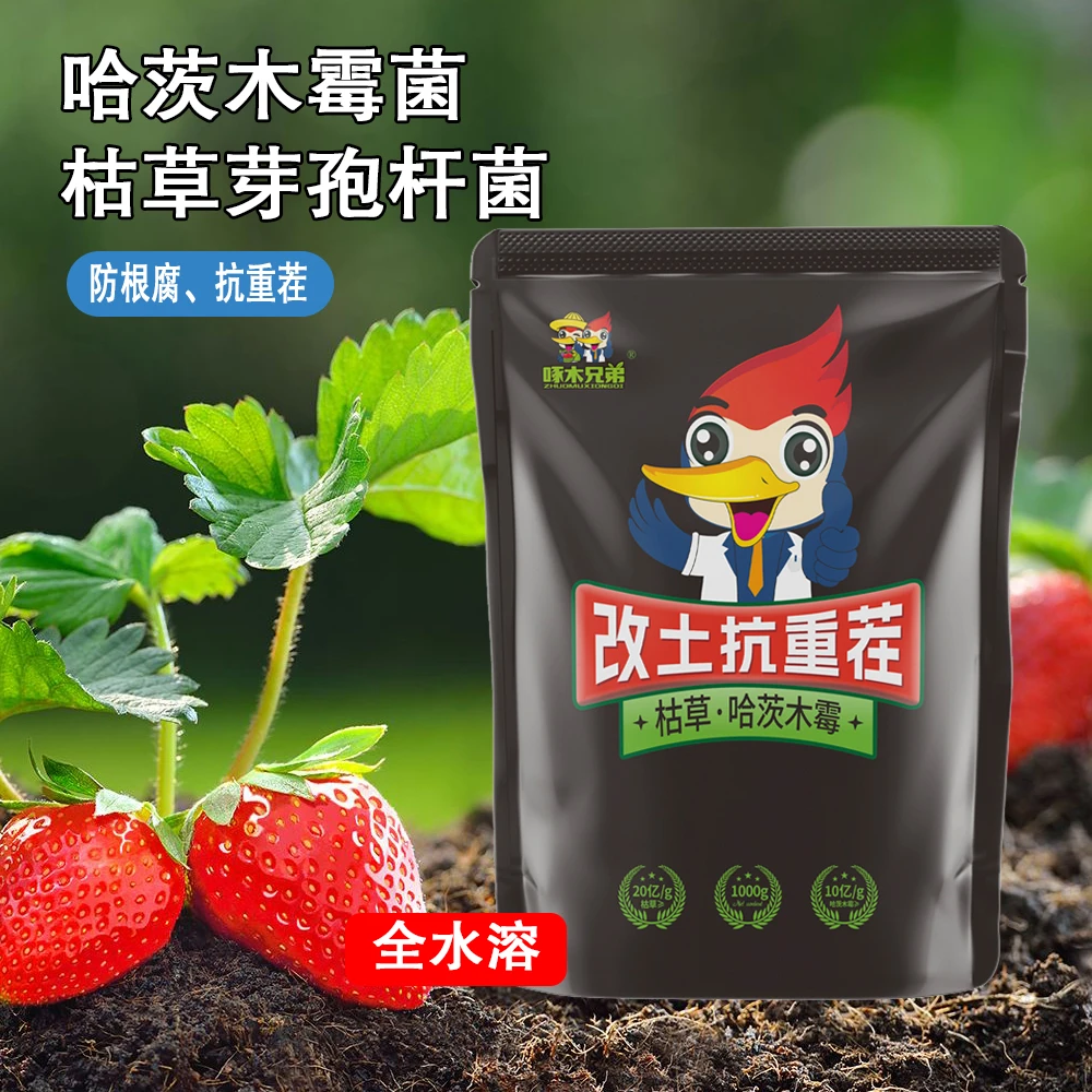 啄木兄弟微生物菌剂撒施冲施防根腐黑根立枯青枯病土传强力菌肥