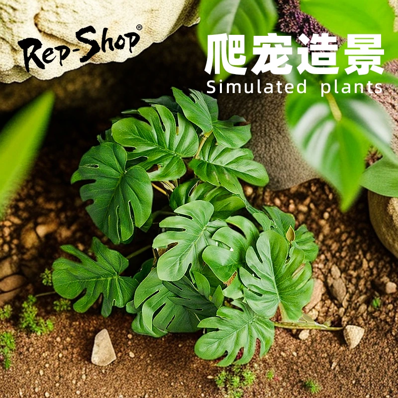 Rep-shop爬虫饲养箱陆龟蜥蜴热带雨林仿真植物生态缸沙漠造景装饰