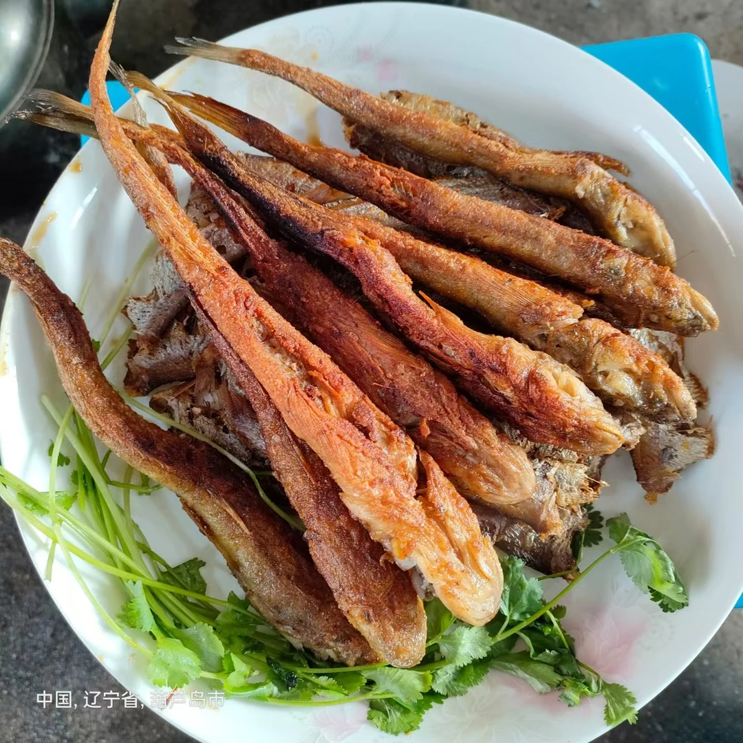 新鲜腌制渤海湾特产扔吧鱼海鲶鱼胖头鱼
