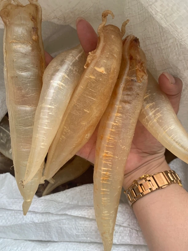 北海金龙胶 正品直播精选链接