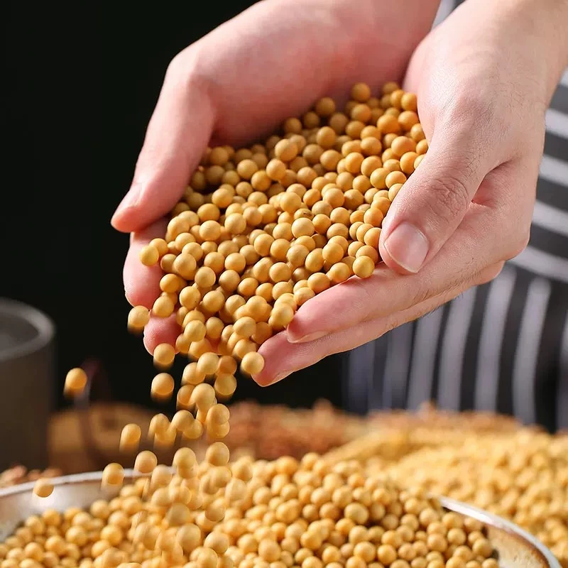 2024年新粮农佳嫂非转基因黄豆【1袋 5斤】