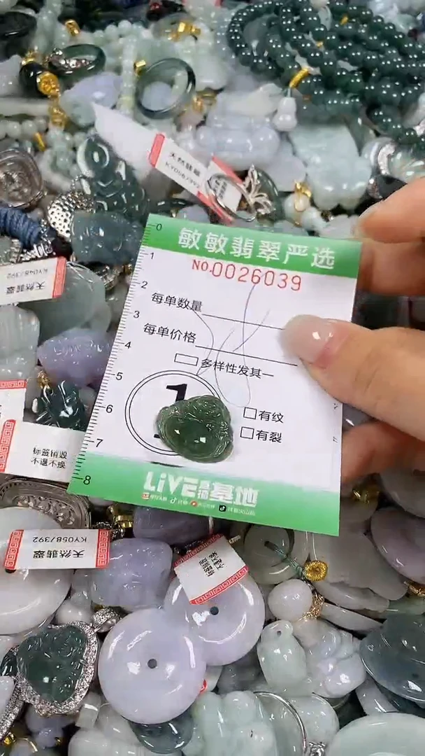 【闪购商品】翡翠颈饰未镶嵌闪购0026039