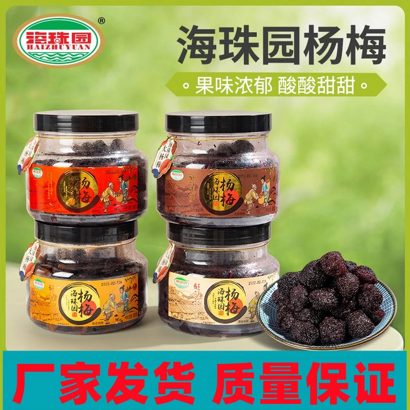 海珠园陈皮杨梅李解九珍原味咸杨梅农家梅子蜜饯办公室泡茶零食