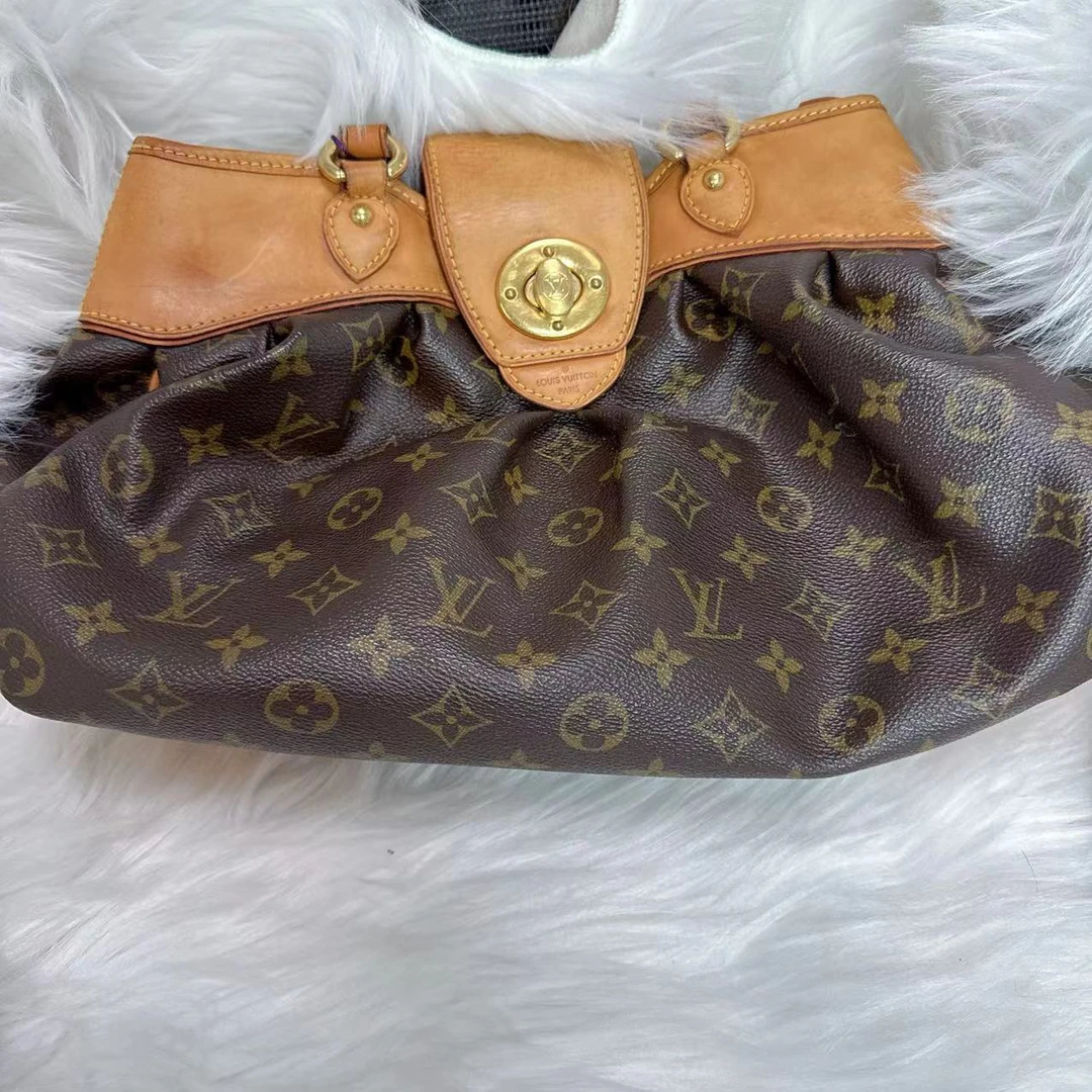 95新 LouisVuitton/路易威登 路易威登 百搭款老花金豆单肩包