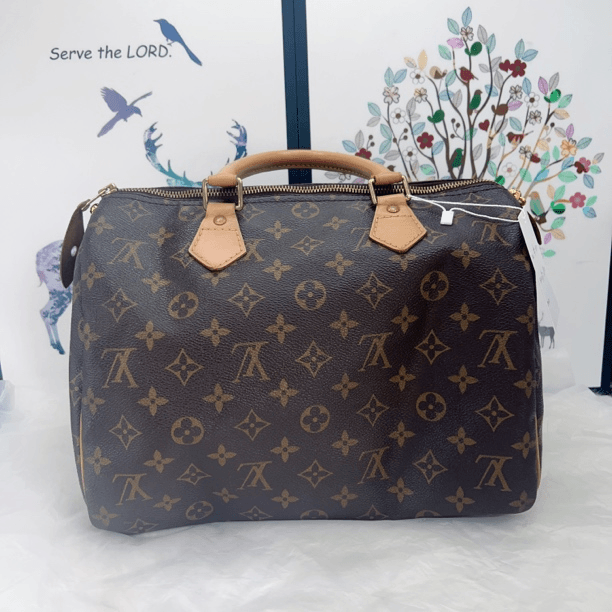 95新 LouisVuitton/路易威登 路易威登老花SP30单肩手提包G