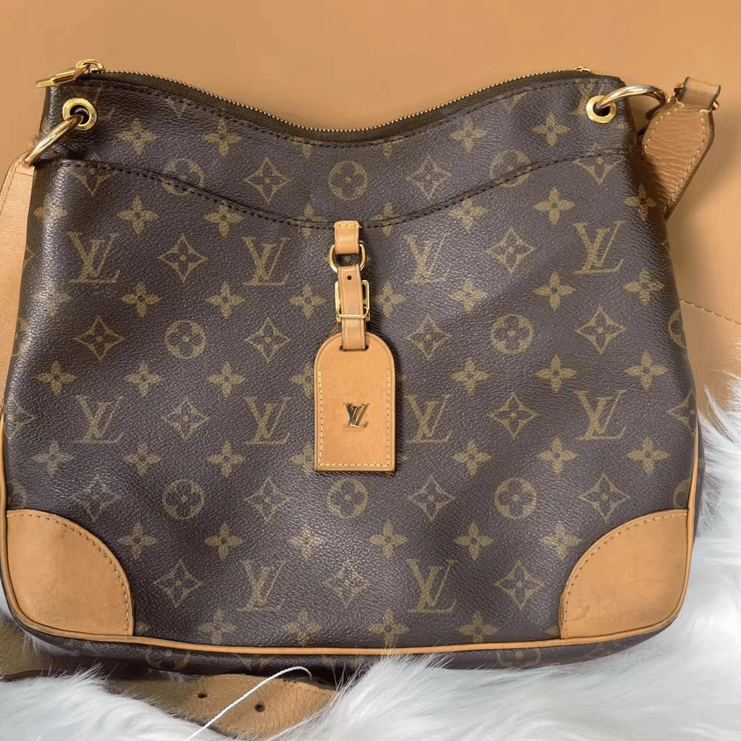 95新 LouisVuitton/路易威登 路易威登老花牛角时尚单肩包G