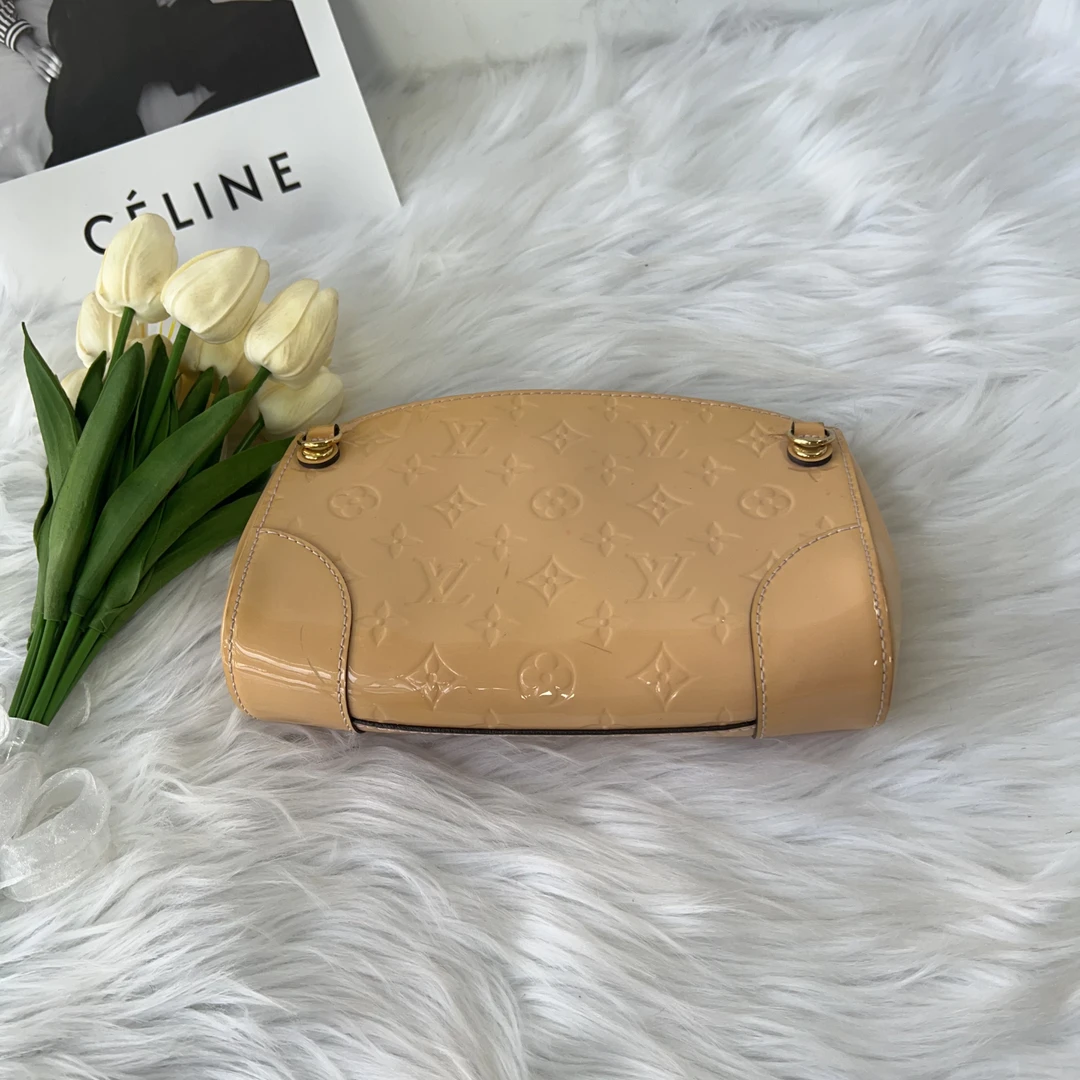 95新 LouisVuitton/路易威登 路易威登 百搭款老花漆皮单肩包