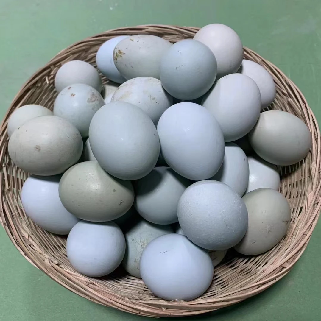 散养绿壳土鸡蛋40枚装（破损包赔）