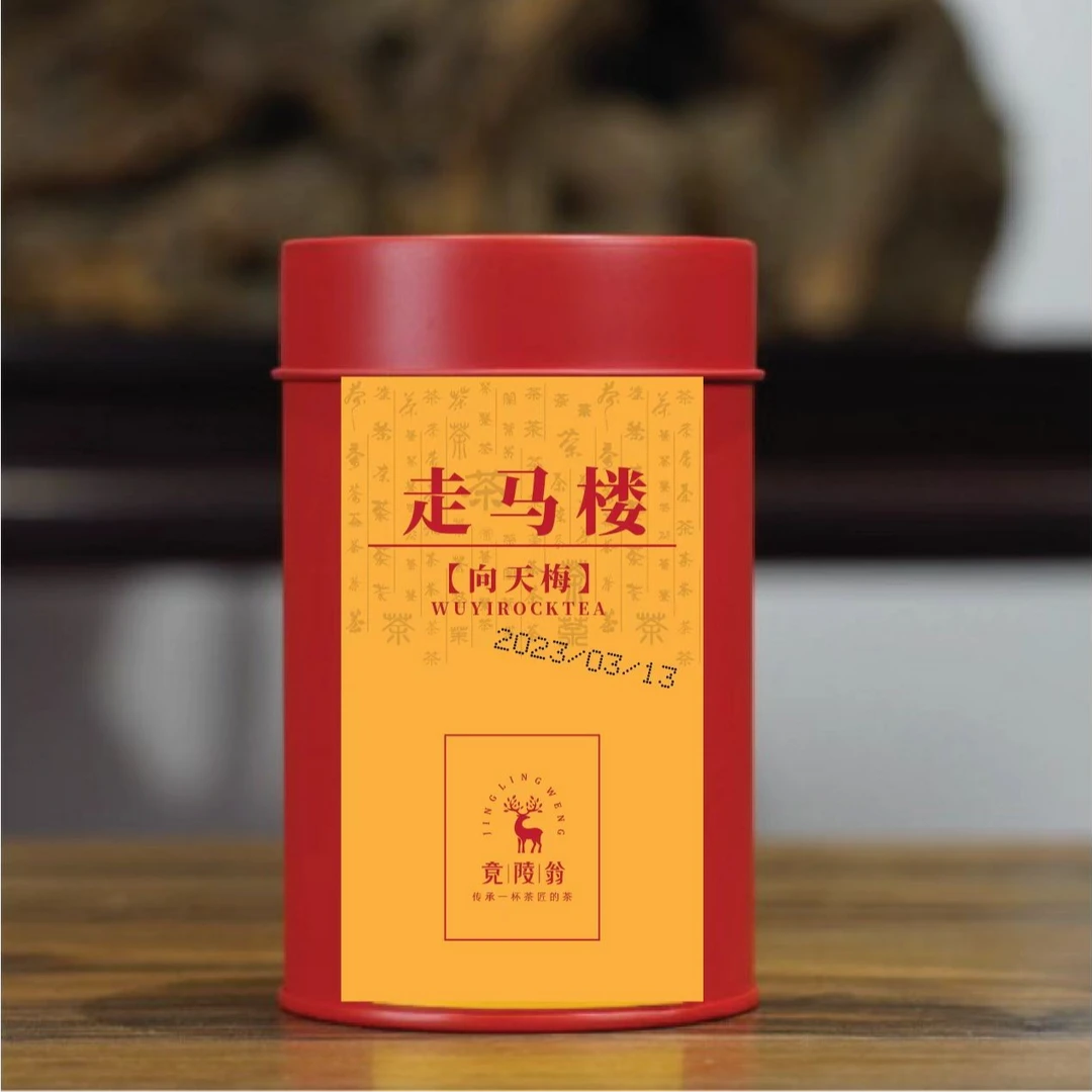 竟陵翁走马楼向天梅50g试饮装福建大红袍工艺传承武夷岩茶茶叶