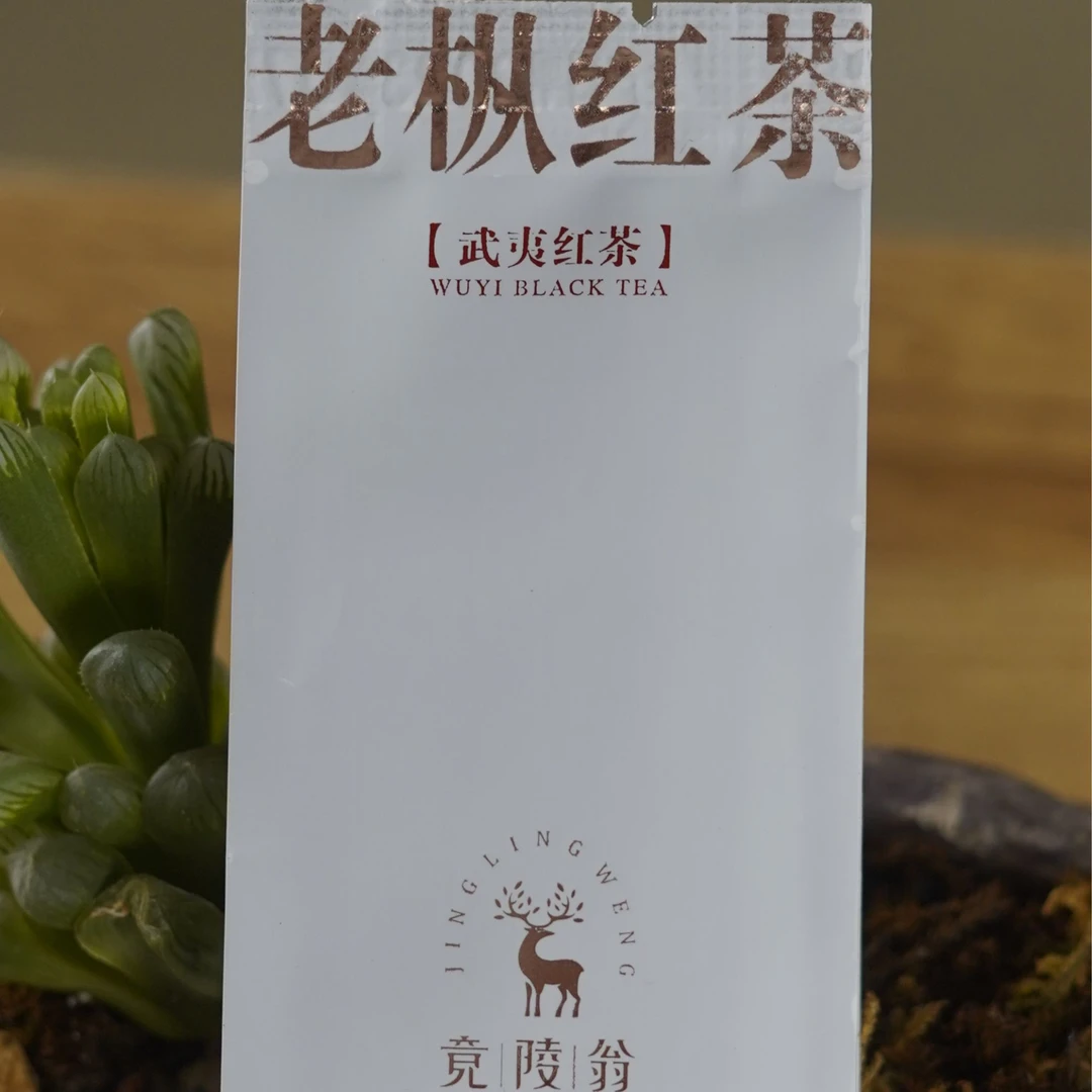竟陵翁老枞红茶5g两泡品鉴试饮装福建武夷山工艺传承武夷红茶茶叶