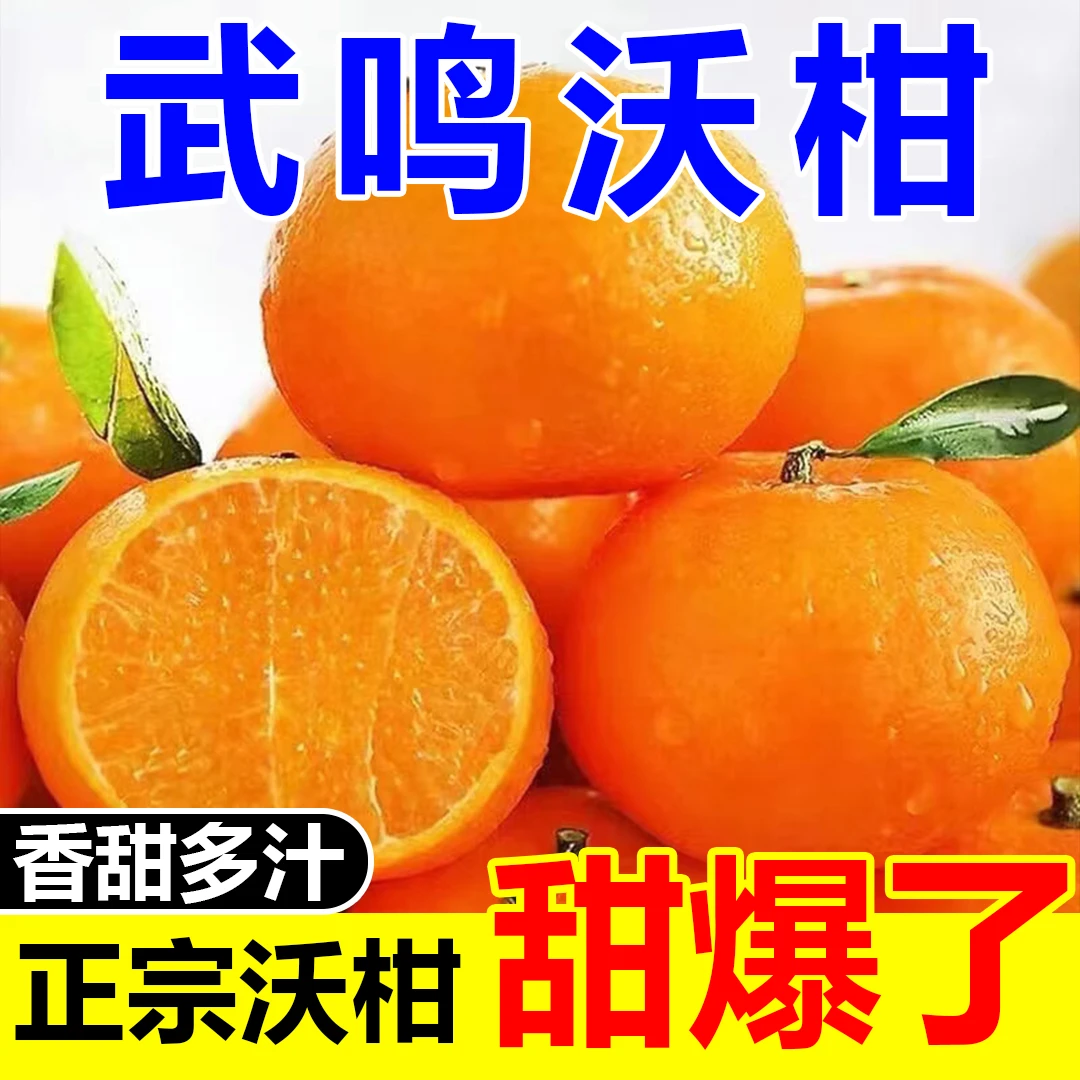 正宗沃柑柑橘新鲜桔子孕妇贵妃水果批发广西薄皮应季橘子武鸣