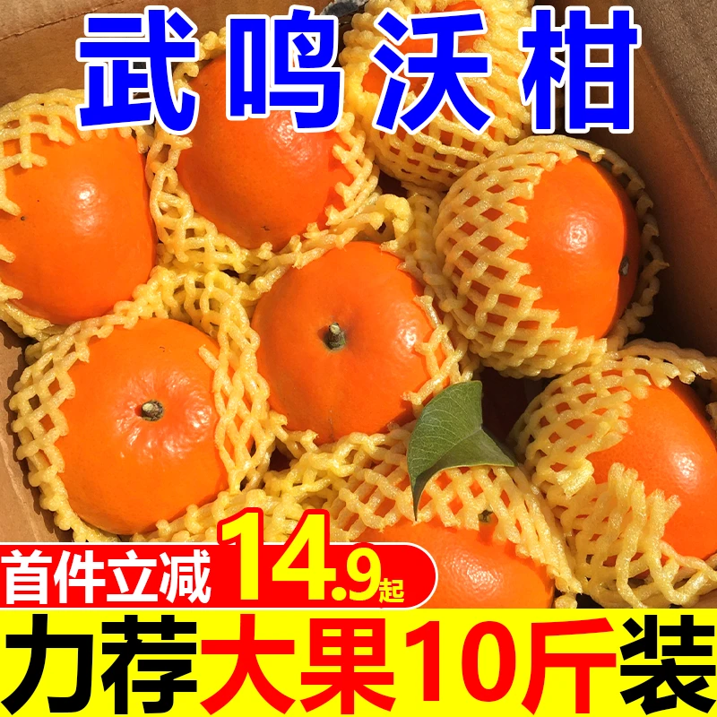 【爆甜沃柑】广西武鸣沃柑采摘贵妃柑新鲜沃柑橘子水果薄皮沃柑