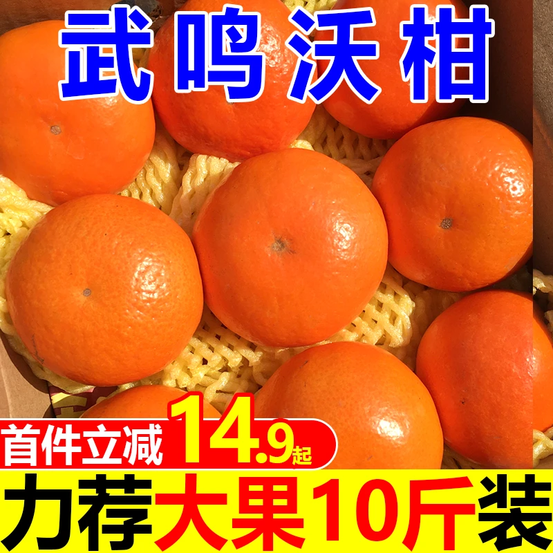 沃柑正宗广西武鸣沃柑贵妃柑新鲜沃柑薄皮清甜