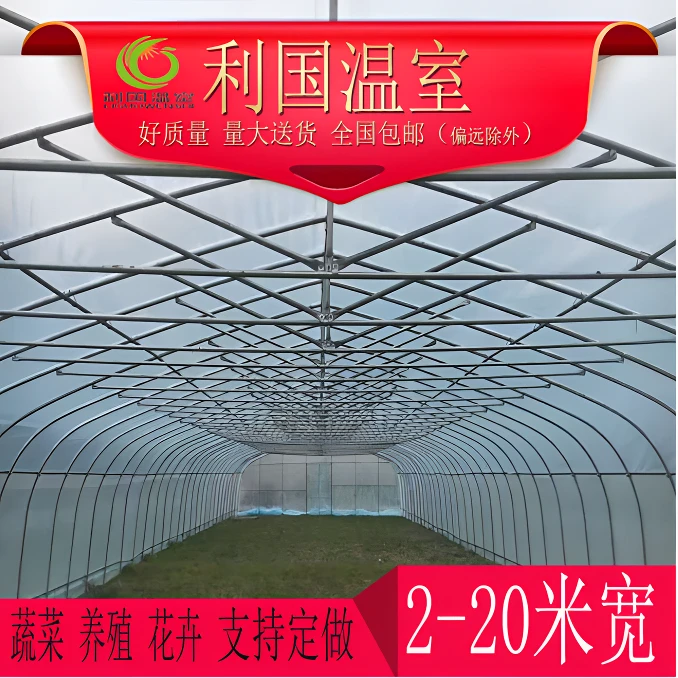利国温室椭圆管蔬菜大棚优选骨架养殖草莓支架大棚拱棚支架