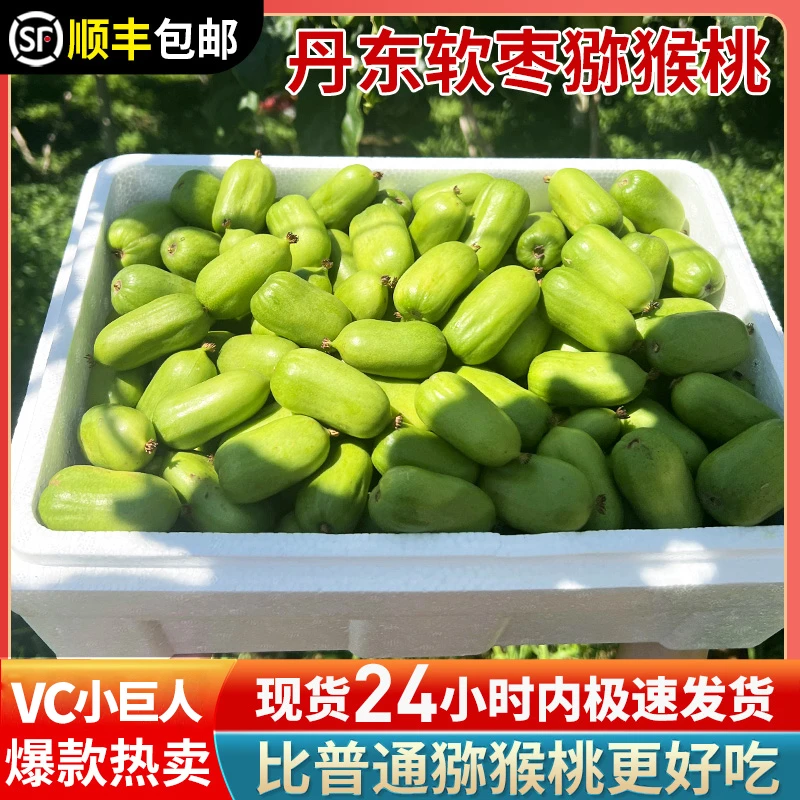 【顺丰速运】新鲜丹东现摘软枣猕猴桃奇异莓1斤2斤3斤香甜非徐香