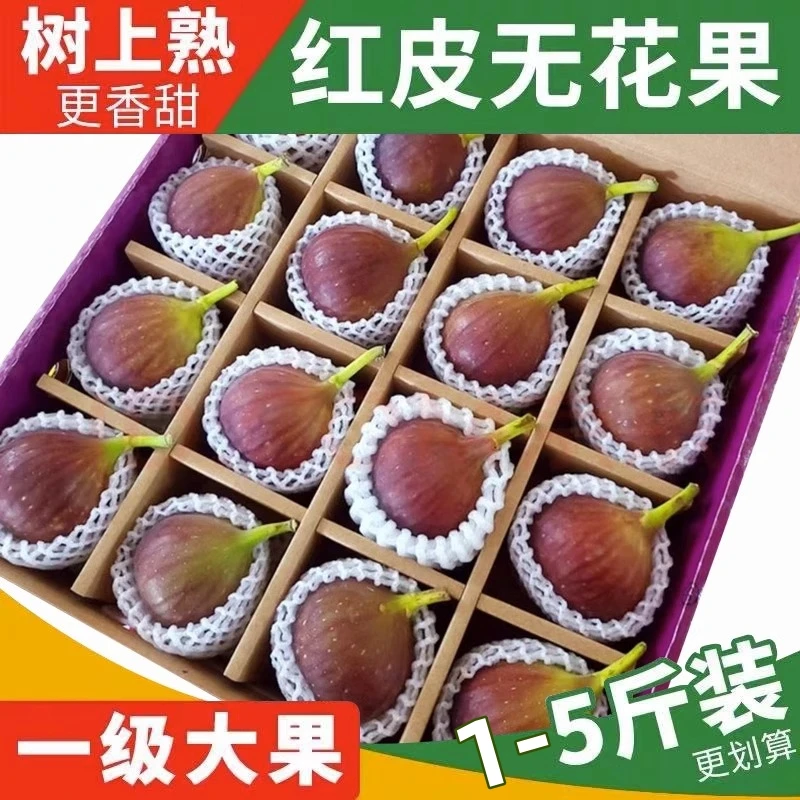 【顺丰快递】红皮无花果当季水果香甜软糯新鲜非青皮果现摘1-5斤
