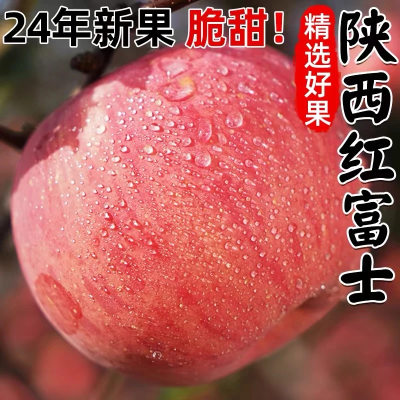 陕西高原红富士苹果现摘冰糖心脆甜丑苹果新鲜水果带箱5斤包邮