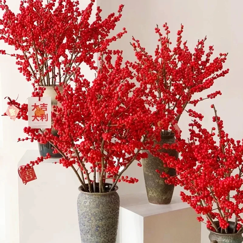 冬青红果老桩耐寒年宵花红果盆栽花卉基地直发室内绿植地栽红果