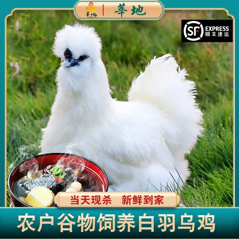 【到手4只】农家散养乌鸡 白羽鸡 新鲜鸡肉顺丰包邮