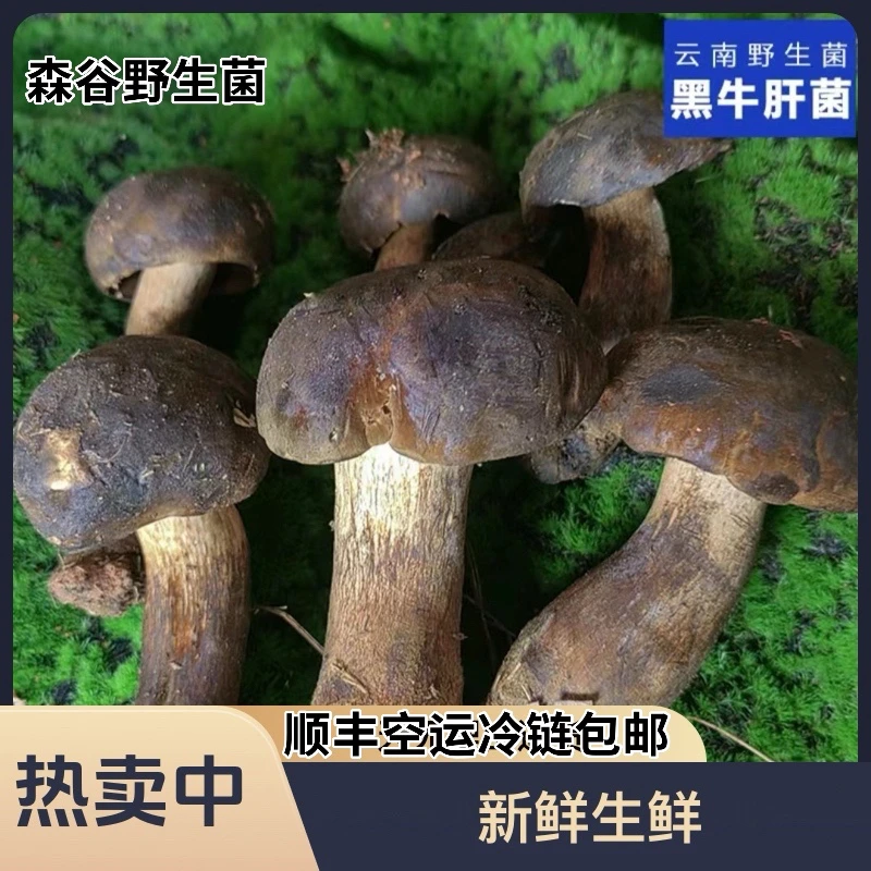 2024年云南新鲜瘦脚黑牛肝