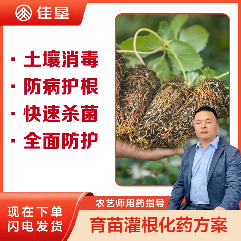 【草莓定植三遍灌根方案】土壤消毒快速杀菌全面防护