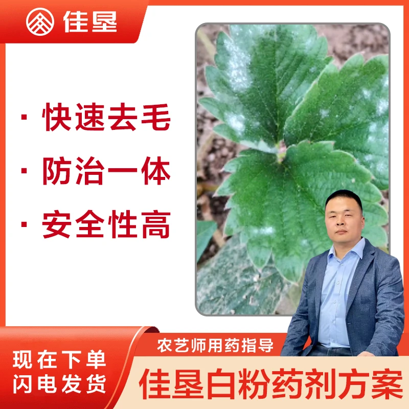 【佳垦白粉病强力褪毛方案】真菌性病害防治育苗高效稀释滴灌