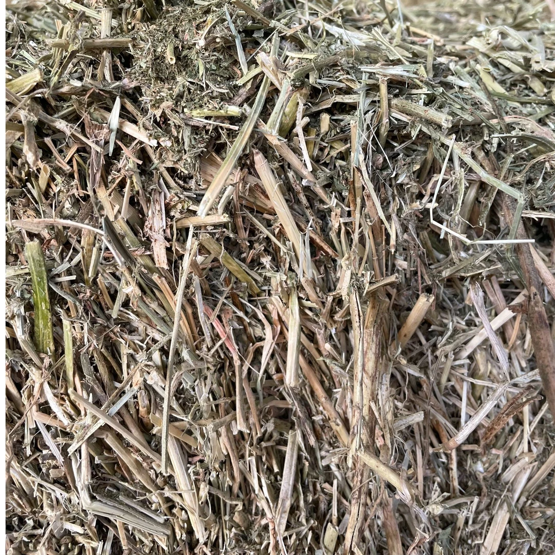 羊驼喂养草料混合草苜蓿燕麦草青干草混合草七峰山羊驼专用草料