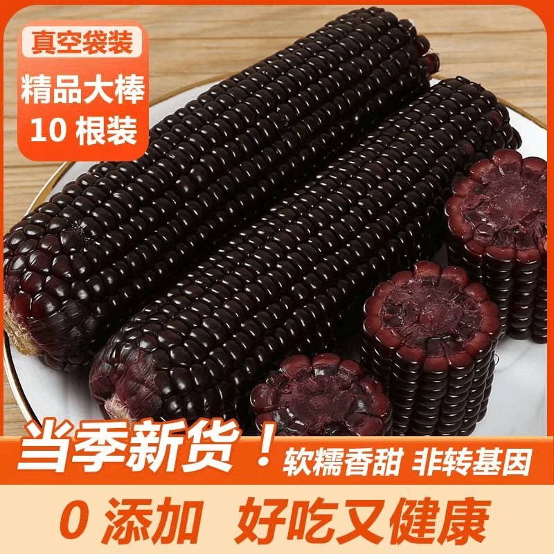 【试吃两根】东北开花黑玉米10支单支250克一箱五斤以上非转基因