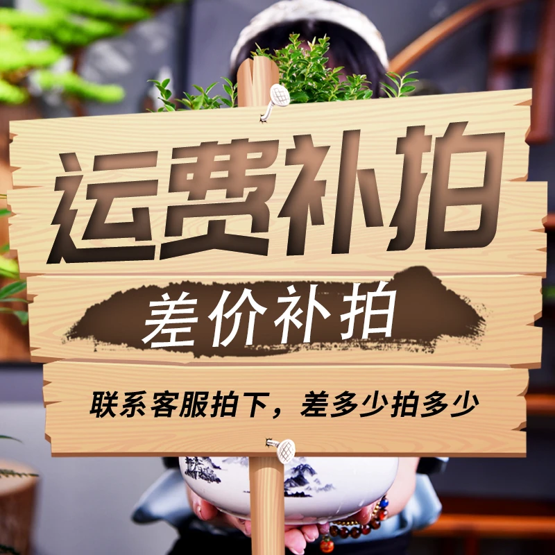 自然空间盆景盆栽室内桌面绿植植物粉丝补拍链接