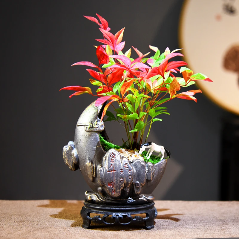 禅意/意境火焰南天竹 室内好养盆景盆栽绿植花卉客厅茶几美观自然