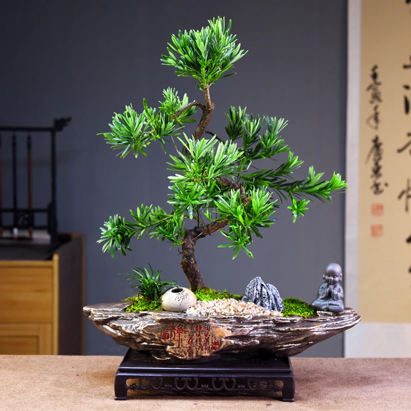 罗汉松盆景客厅办公室绿植室内造型盆景阳台四季常青植物装饰摆件