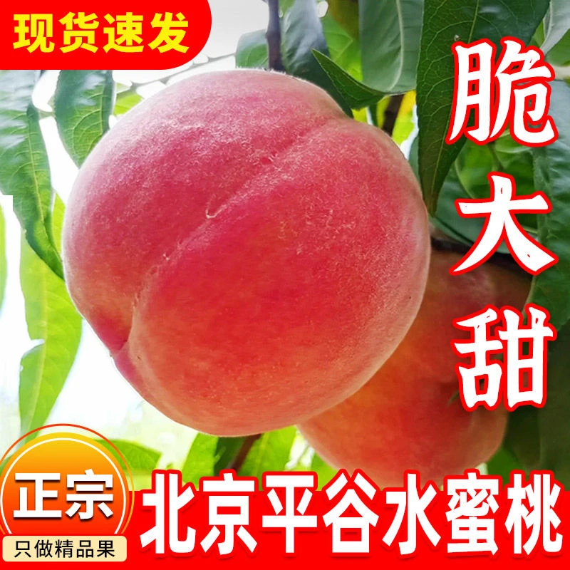 北京平谷大桃新鲜水蜜桃当季水果久保桃子9号毛桃礼盒脆甜软硬14