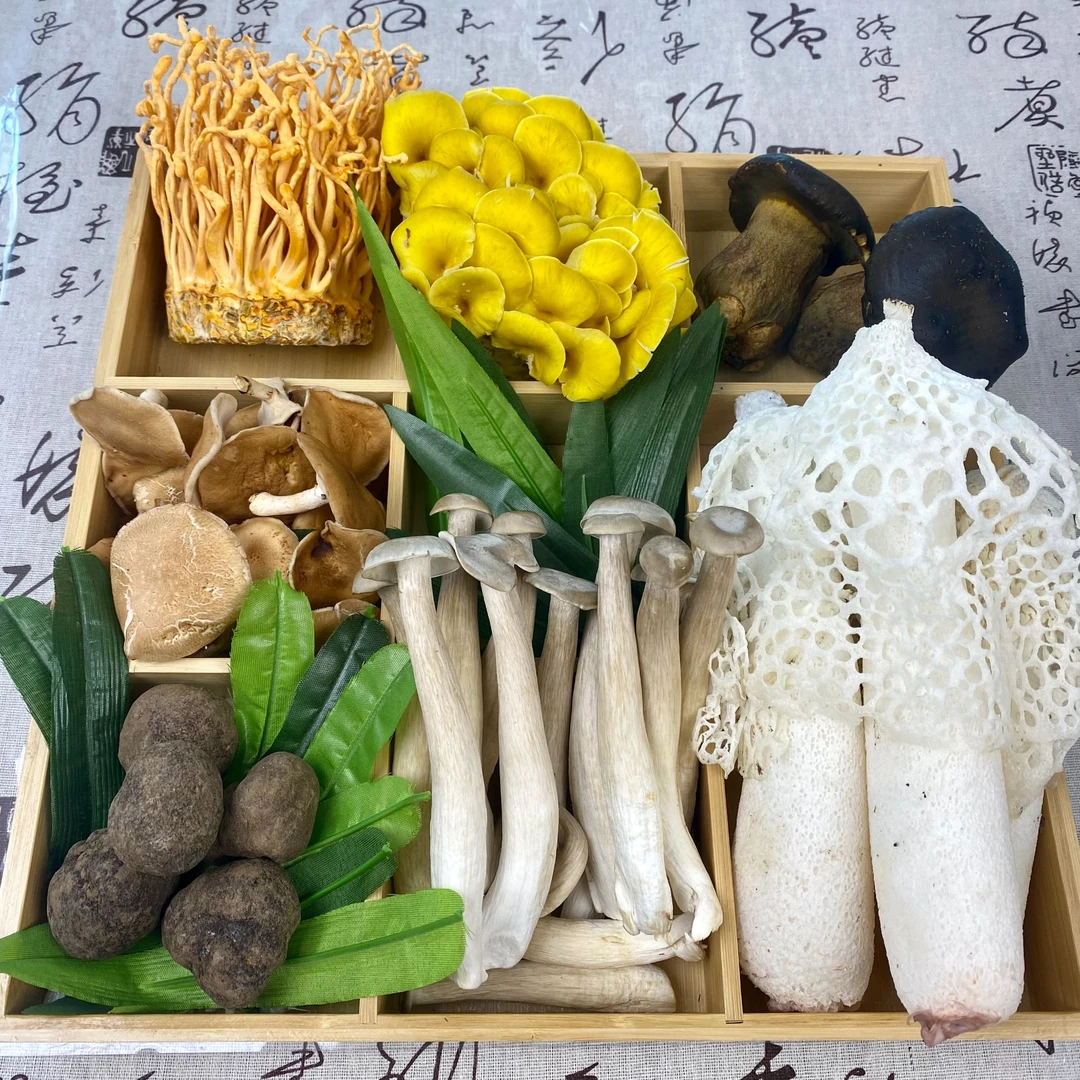 新鲜云南七彩鲜菌菇组合七种菌菇组合500g1000g顺丰冷链发货面包