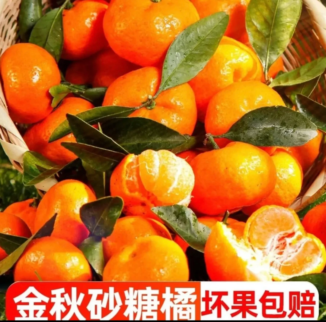 现货广西金秋砂糖橘新鲜孕妇水果1-9斤沙糖桔子冰糖橘子柑橘现发