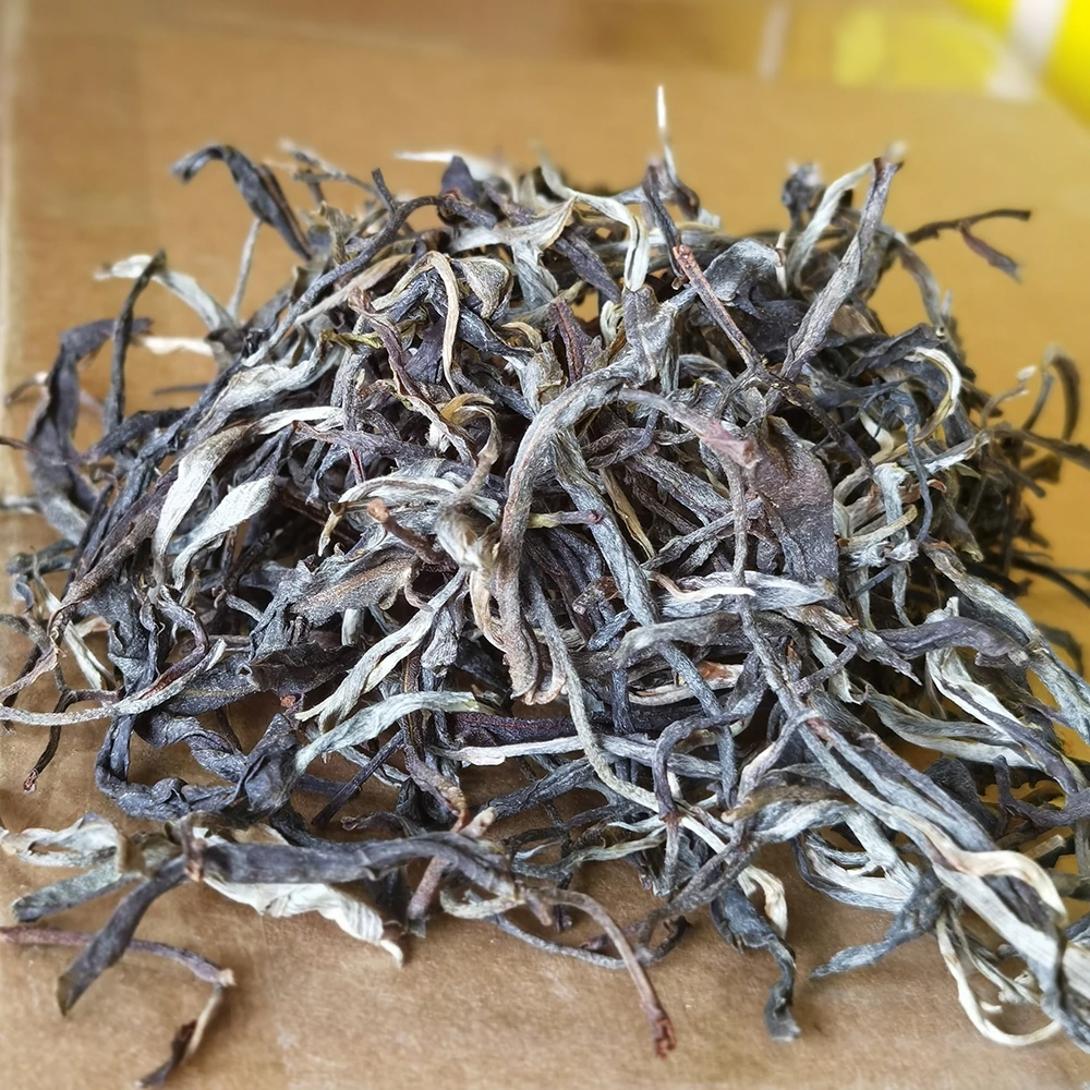 2023年户南古树普洱茶生茶晒青茶1000克装